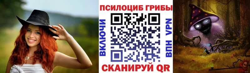 OMG зеркало  Мыски  Псилоцибиновые грибы мухоморы 