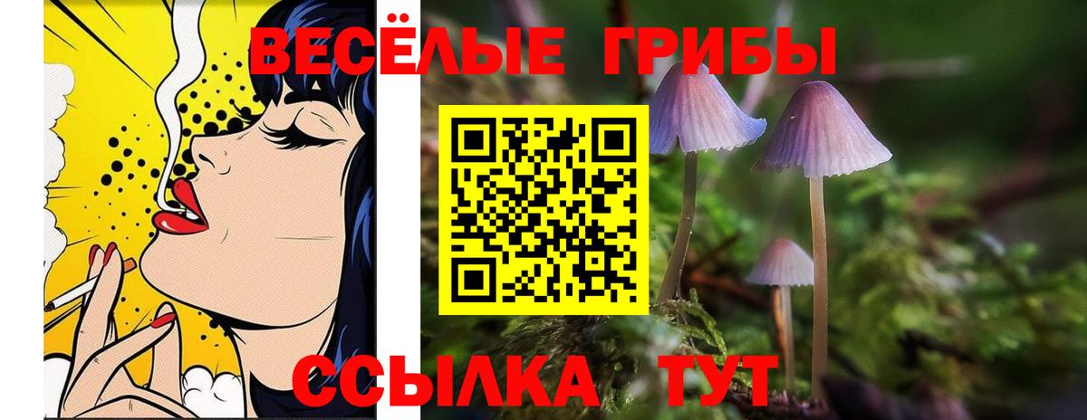 Псилоцибиновые грибы GOLDEN TEACHER Мыски